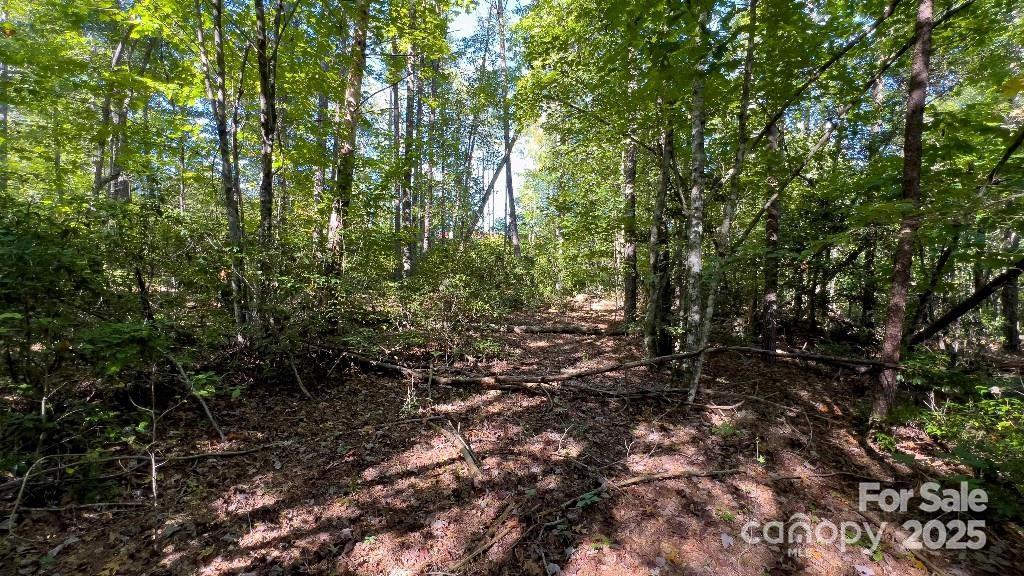 TBD Quiet Creek Lane