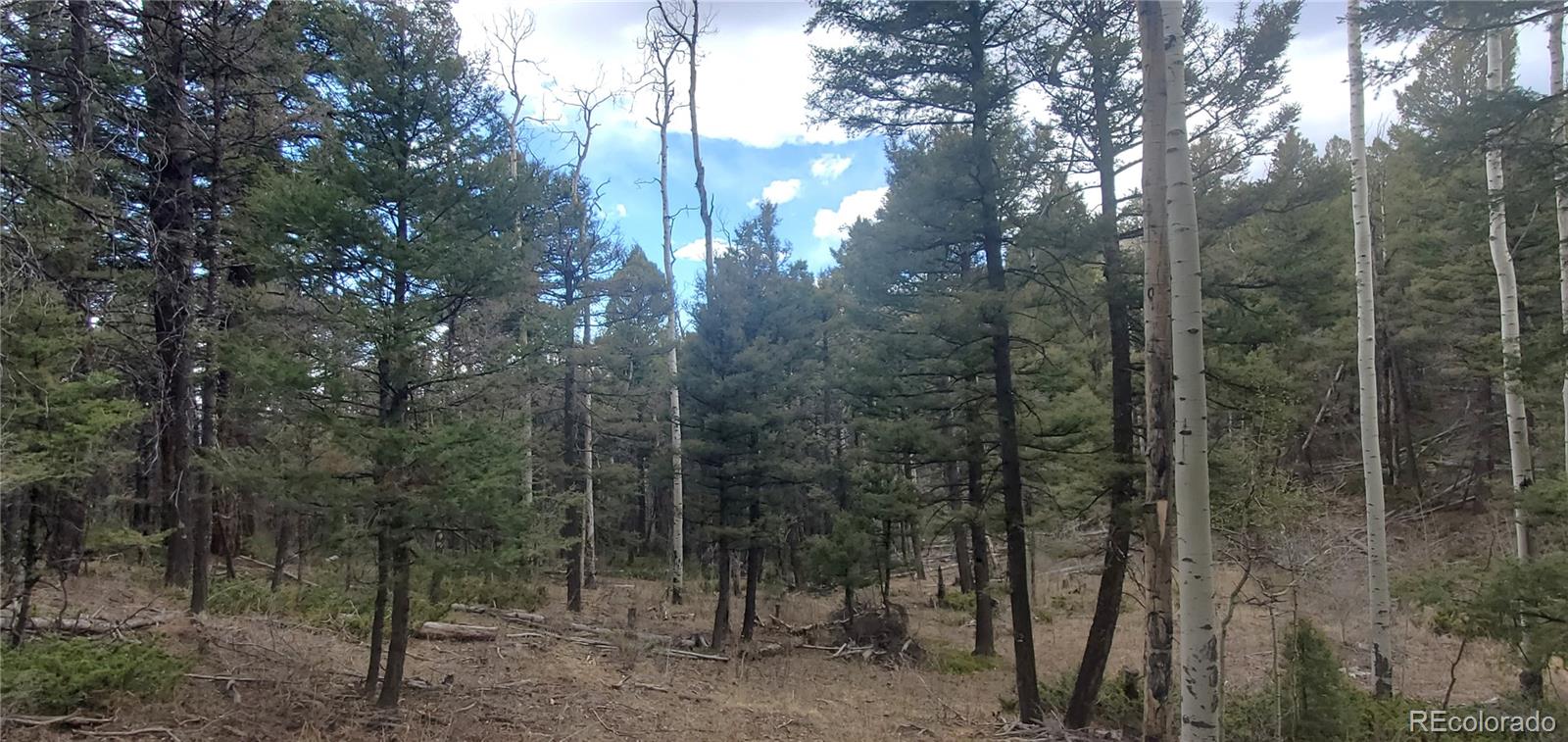 Lot 6090 Vreeland Road