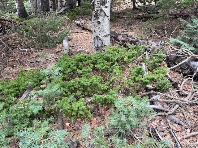 Lot 3091 Sterenson Place