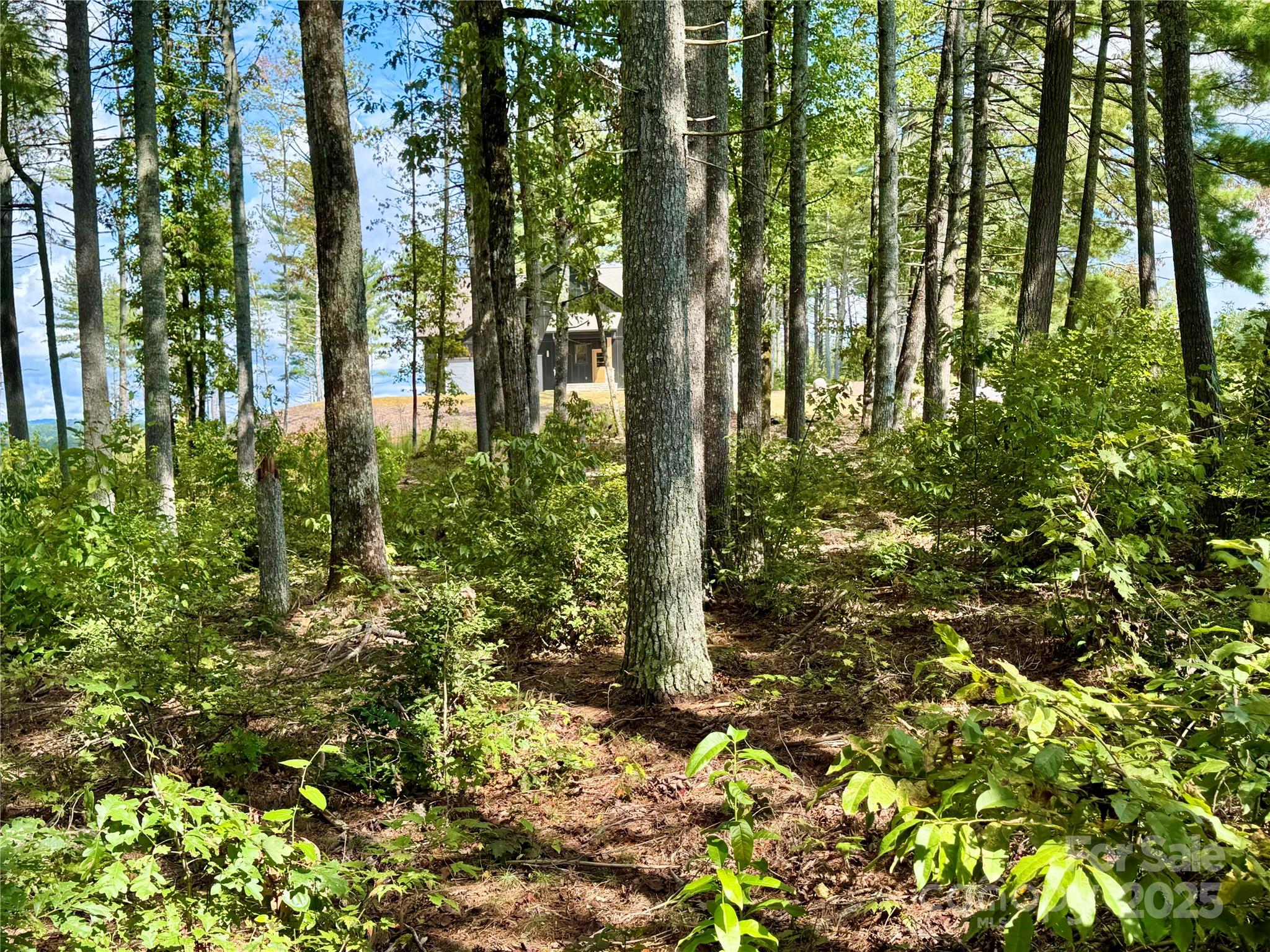 2088 Thoroughbred Way Lot G25