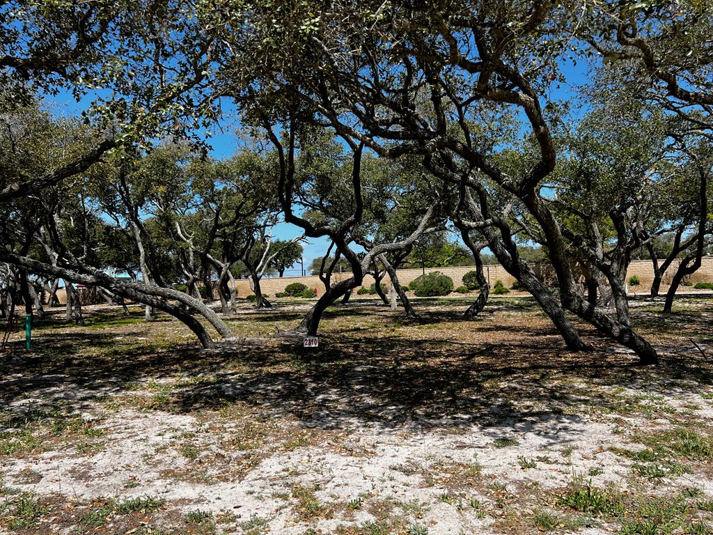 See what is behind the gate at Royal Oaks! The name says it all with majestic oak trees blanketing each lot. Only limited to one's imagination, this 6920 sq.ft. lot is ready for your custom build to commence. This exclusive gated waterfront community provides the pleasure of privacy with the storybook elegantly curved walls that line the front and back of the community. Entering the neighborhood over the cobble stone road from Fulton Beach Rd, past the guardhouse, immediately a rush of calm takes over. This therapeutic setting will be your place of peace and easy living. Take a minute to stroll the lighted walk paths to the gorgeous pool or gather under the gazebo. Invite friends for an evening around the fire pit to talk about the day on the boat while sipping on your favorite beverage. Need a little putting practice? Pick from the two greens overlooking the bay. Morning, afternoon or evening, the lighted fishing pier is the perfect place to drop a line.