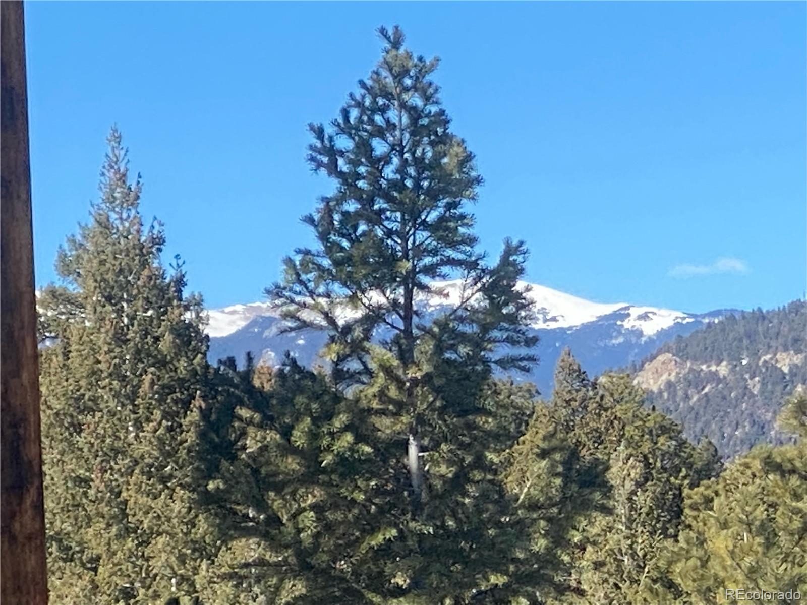 33884 Bergen View Trail