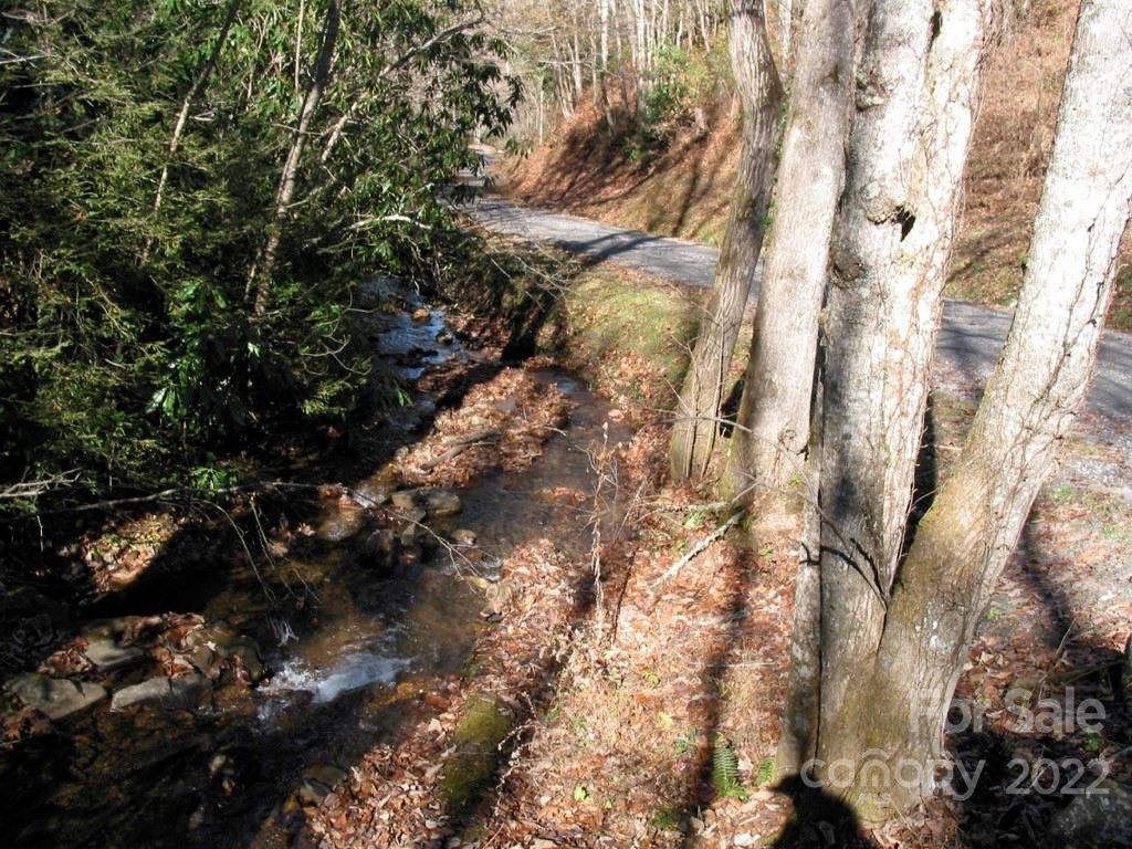 Lot 3 Fiddle Fern Loop