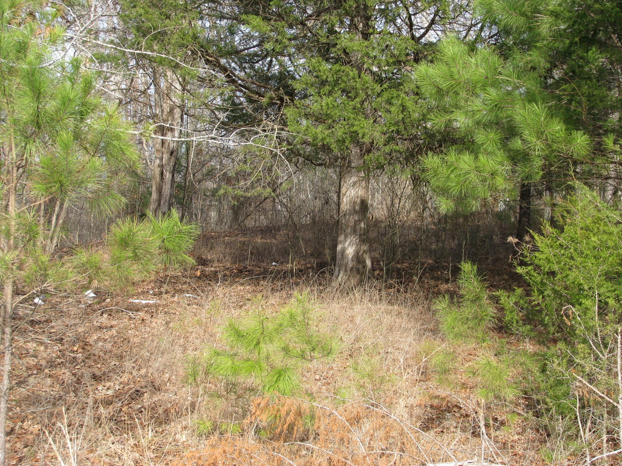 0 Cuba Landing Rd