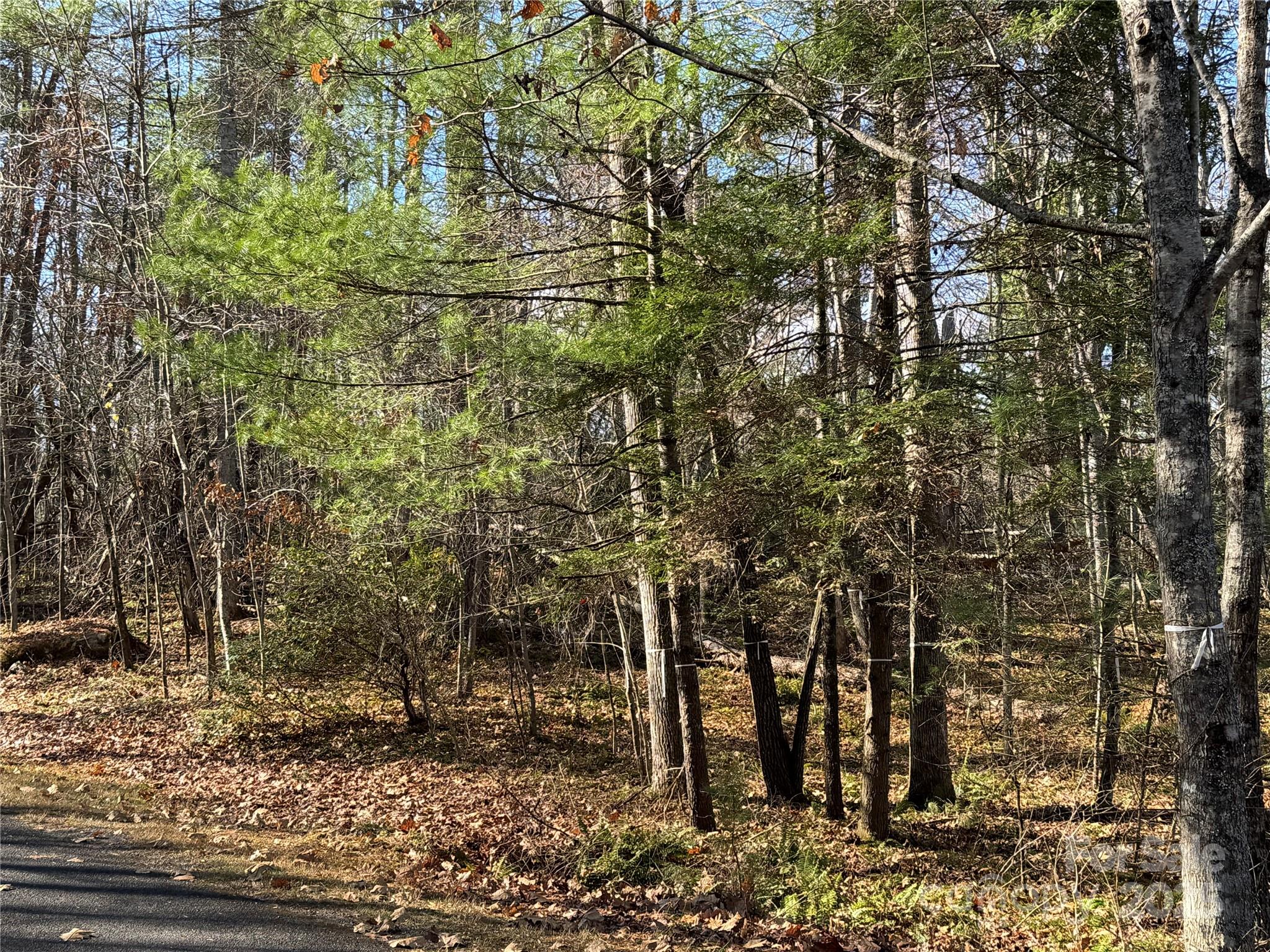 This nearly 2 acre tract is one of the Fairview's most prime building sites and only parcel currently available in Drovers Road Preserve. This is NC's first conservation easement development. Local families purchased a large tract preserving pristine mountain streams and 100 acres in order prevent large, high destiny development. Located in a gorgeous, pastoral valley, surrounded by mountains, yet only 20 minutes to all Asheville has to offer. Drovers Road Preserve affords owners the best of both worlds, along with the feeling of living in a park.The Fairview Community has all you need within 5 min. There are several outstanding family friendly micro breweries that feature live music, health food & grocery stores, pharmacy, restaurants, summer entertainment and dances at Hickory Nut Gap Farm, as well as numerous family farms. Level building sites are very rare in the mountains now especially in sought after locations like Fairview. This one is an exceptional find. There is a bit of a hill for those wanting an on grade basement or crawl space or the level acres will accommodate a slab. The topography and access of a parcel like this substantially reduces site preparation time and costs. This parcel adjoins part of the community conservation easement. with stream at the rear boundary which affords extra privacy. Directly across the road is also a generous section of conserved land with a stream. The conservation easement and availability of streams. preserve the habitats of local flora and fauna and even rare and endangered species. There are hiking and walking trails as well as community Picnic shelter with fireplace and observation tower near the end of a hiking trail.Drovers Road Preserve is a nature lover's paradise and perfect place for any buyer seeking peace and quiet.