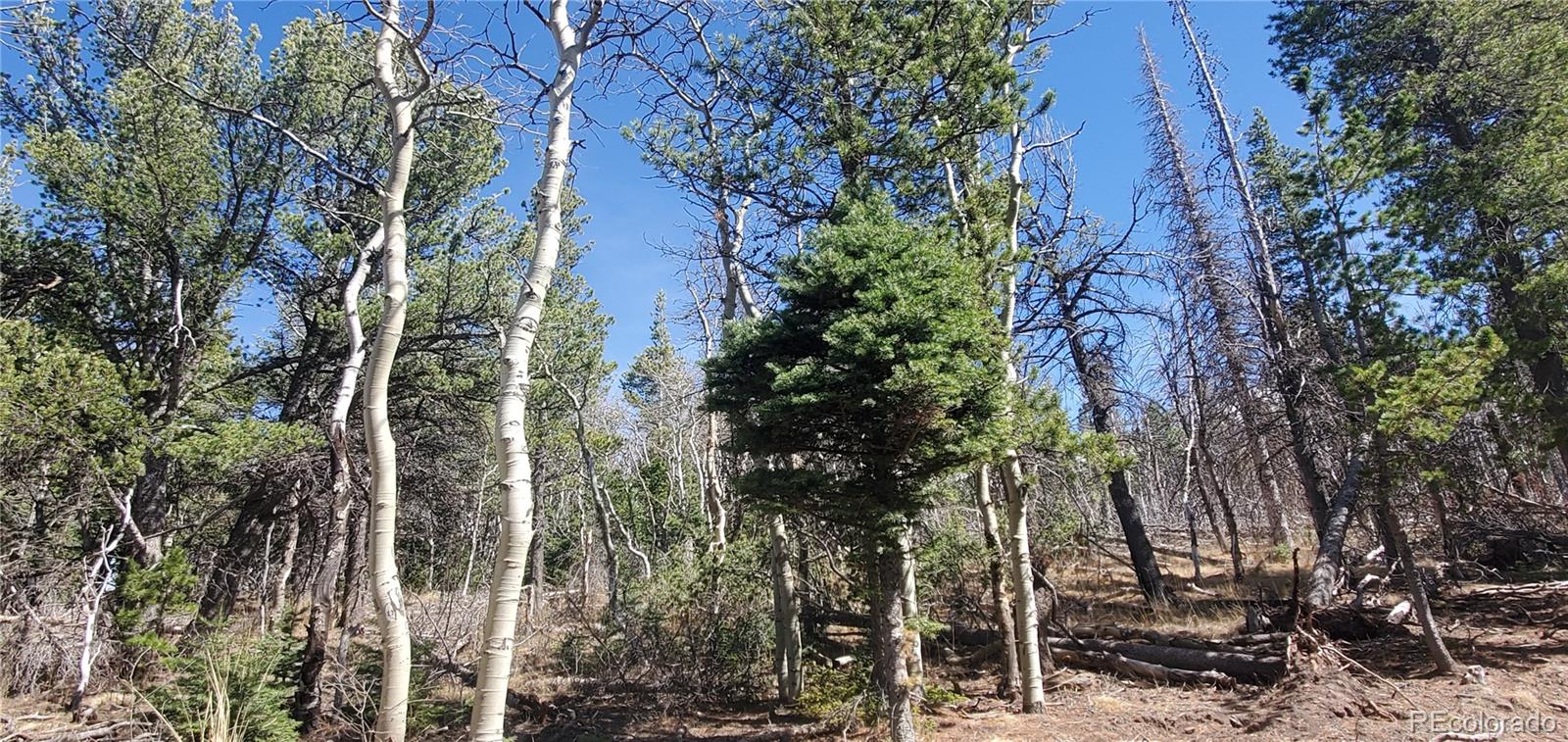 Lot 2560 Grojean Drive