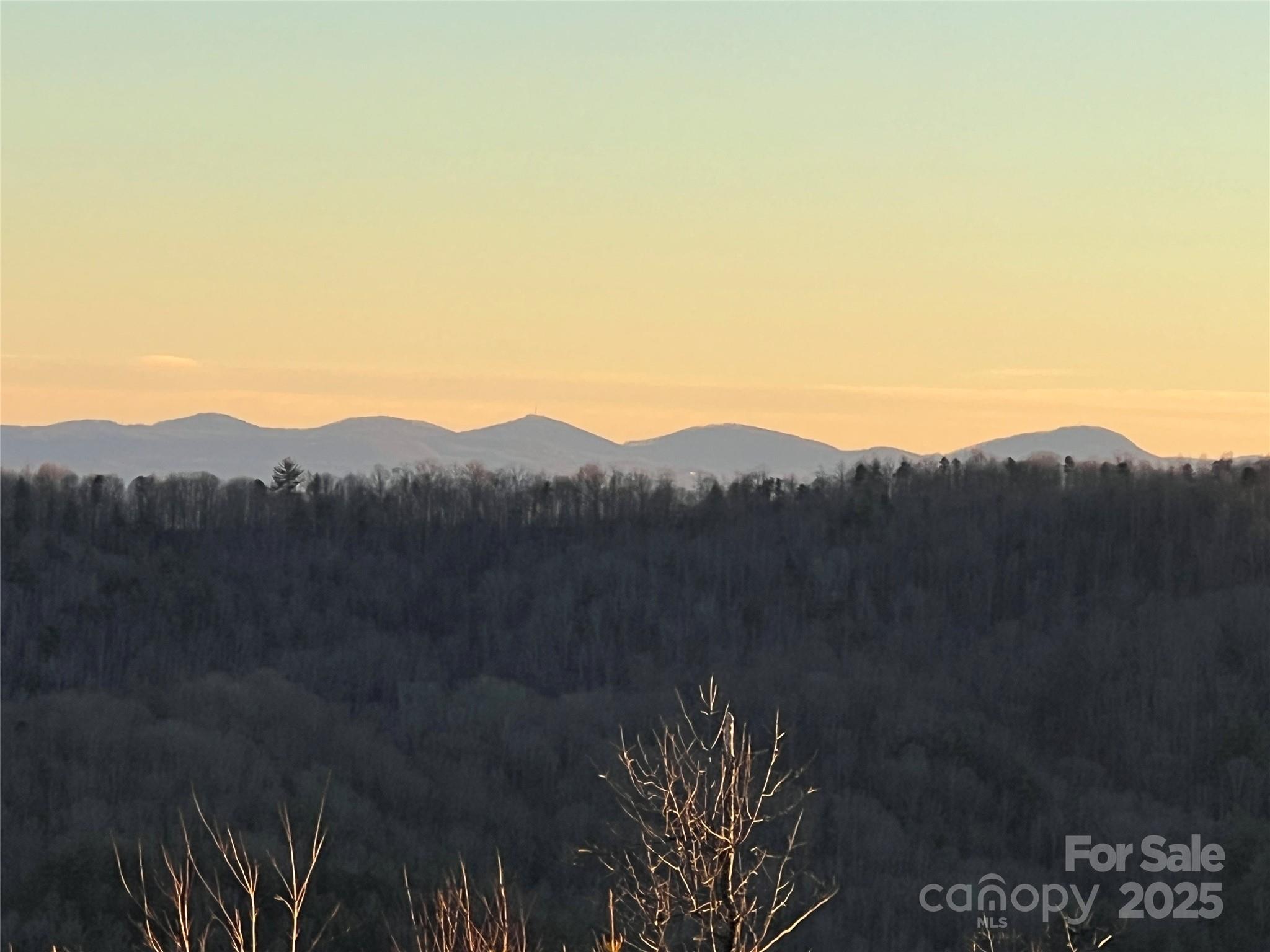 TR 14 Blackberry Ridge