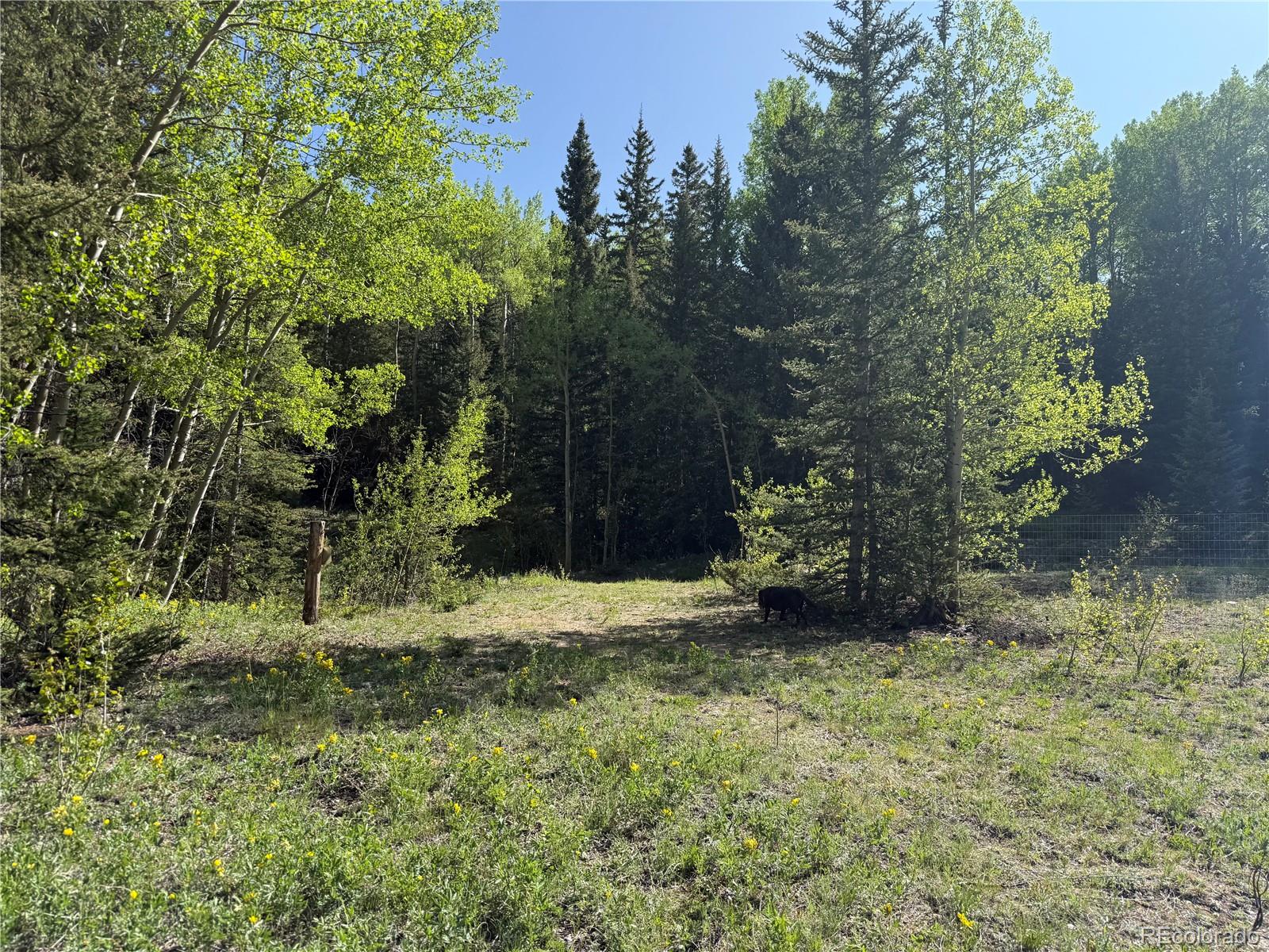 Lot 6843 Ryland Road