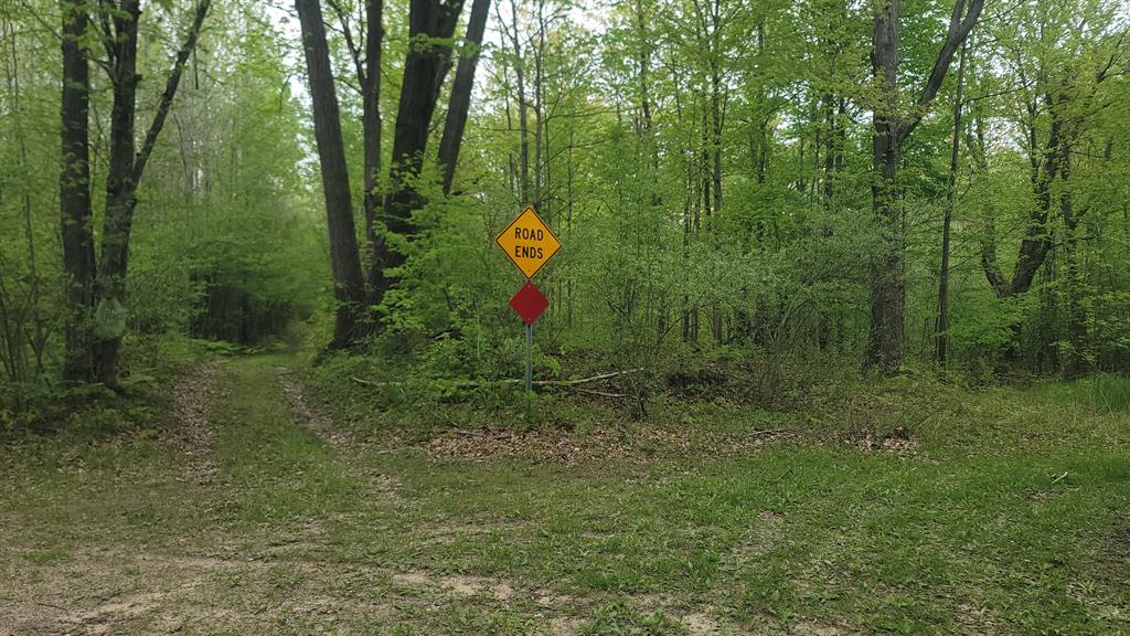 A hunter's paradise! 40 acres of flat and mild hills with a few ponds as ponds as well. Several areas to set up camp and/or blinds and stands. Don't wait on this one, go check it out! Feel free to walk it but NO VEHICLES of any kind are allowed on the property. Current use is Hunting.