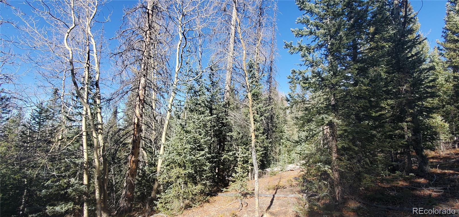 Lot 6581 Ackerman Road