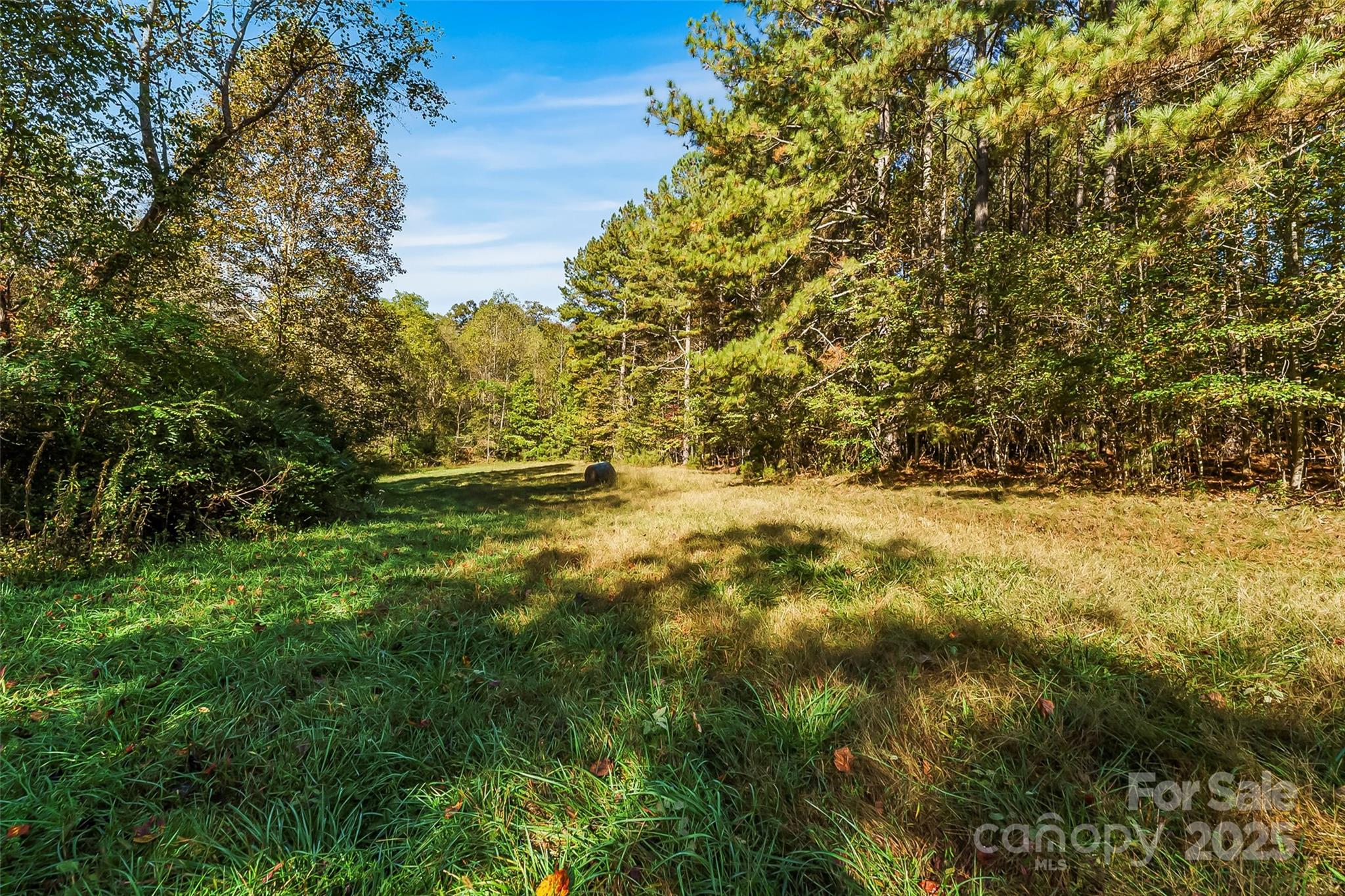 96 Patton Valley Drive