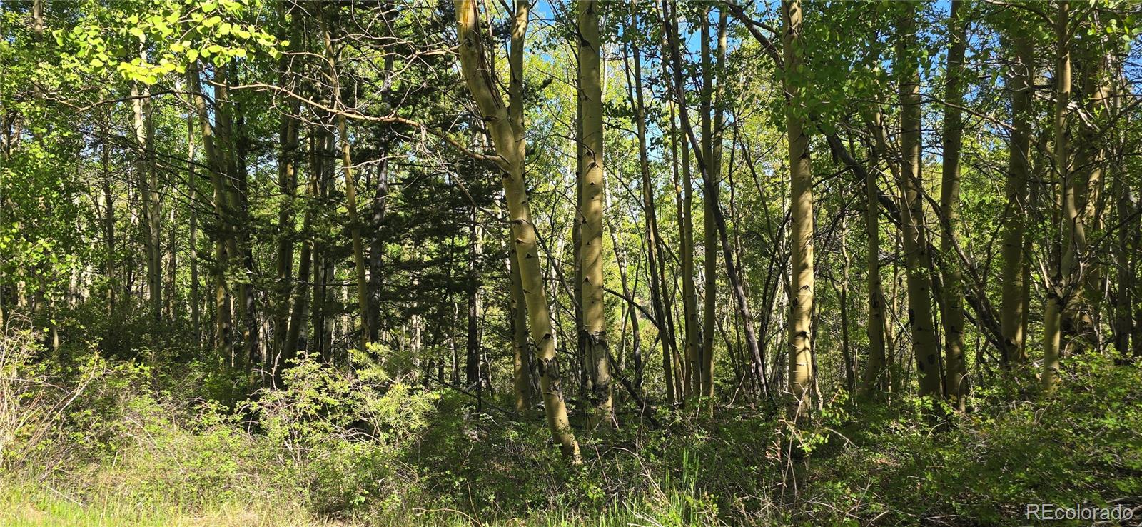 Lot 6708 Debbie Road