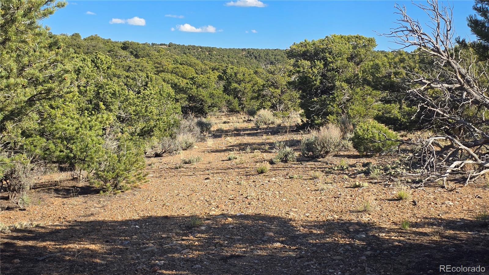 Lot 3886 & 3887 Galloway Road