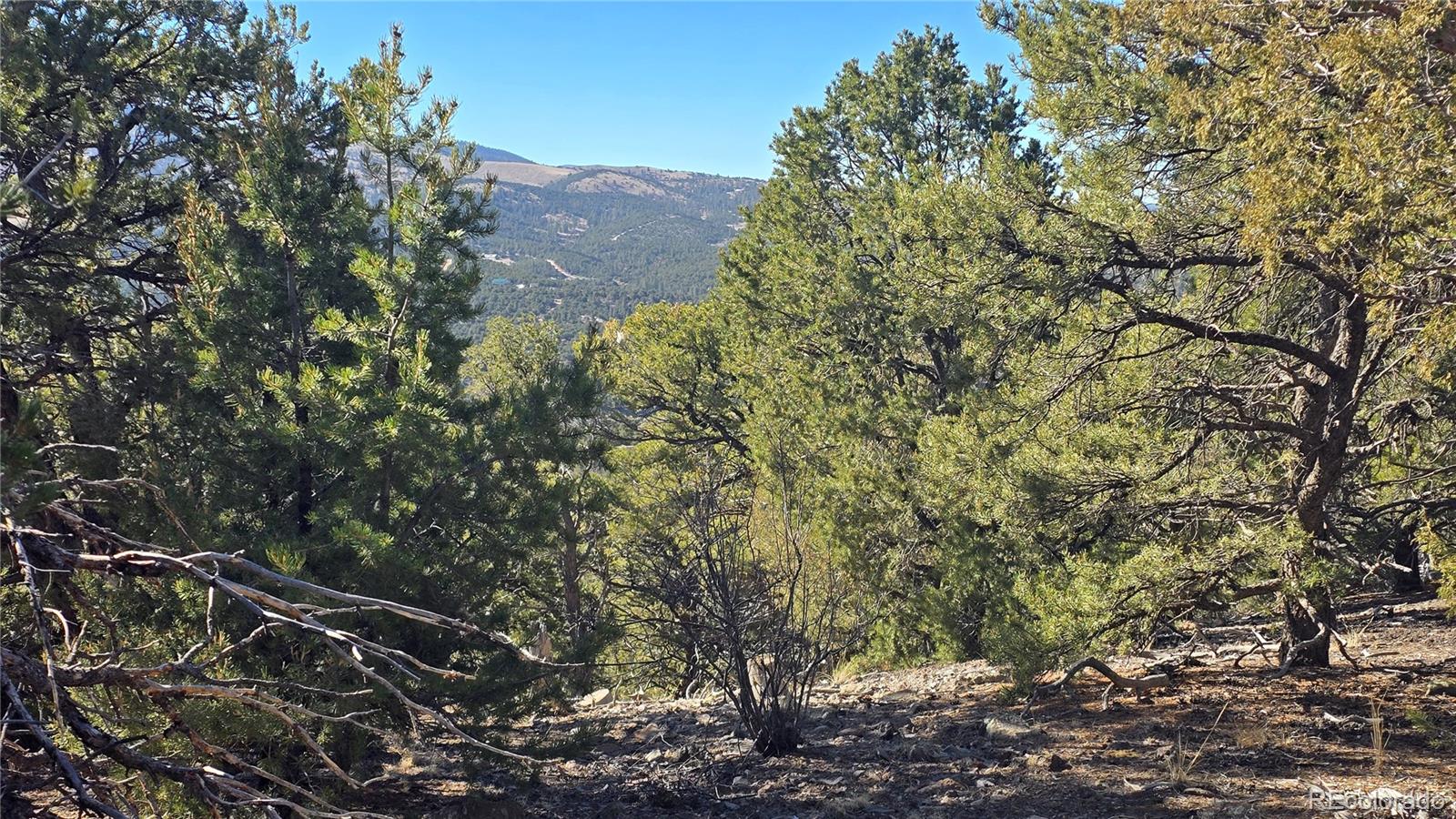 Lot 4510 Iannelli Road