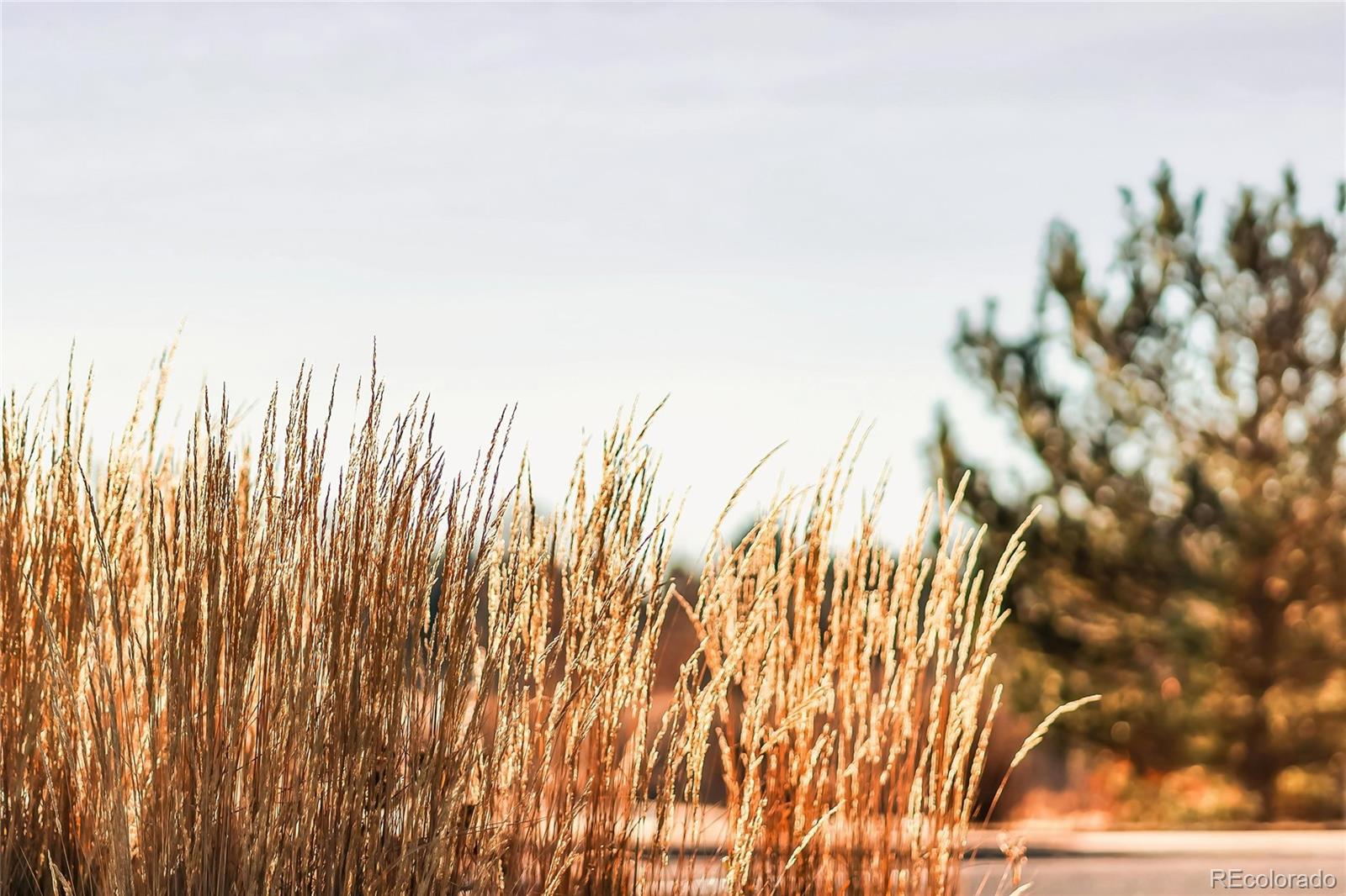 17771 E Maplewood Circle