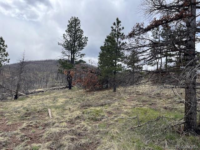 Lot 291 Dany Place