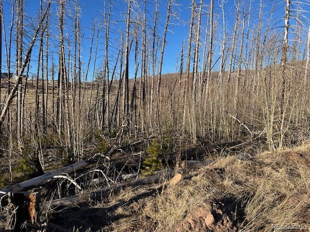 Lot 1502 Vonheyl Lane