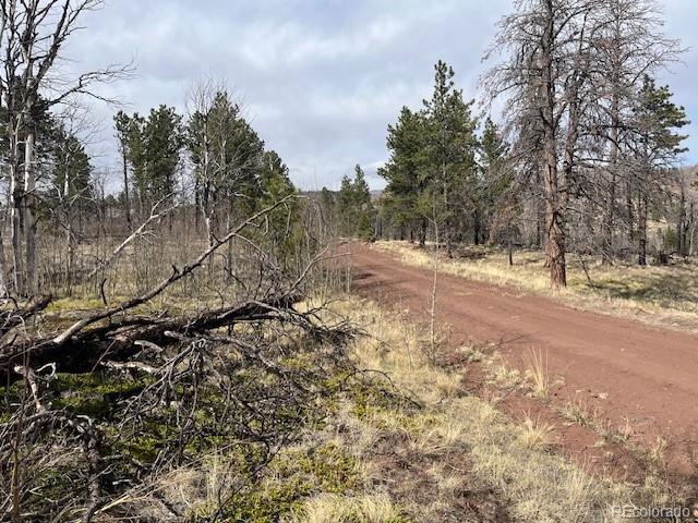 Lot 686 Cogbill Drive