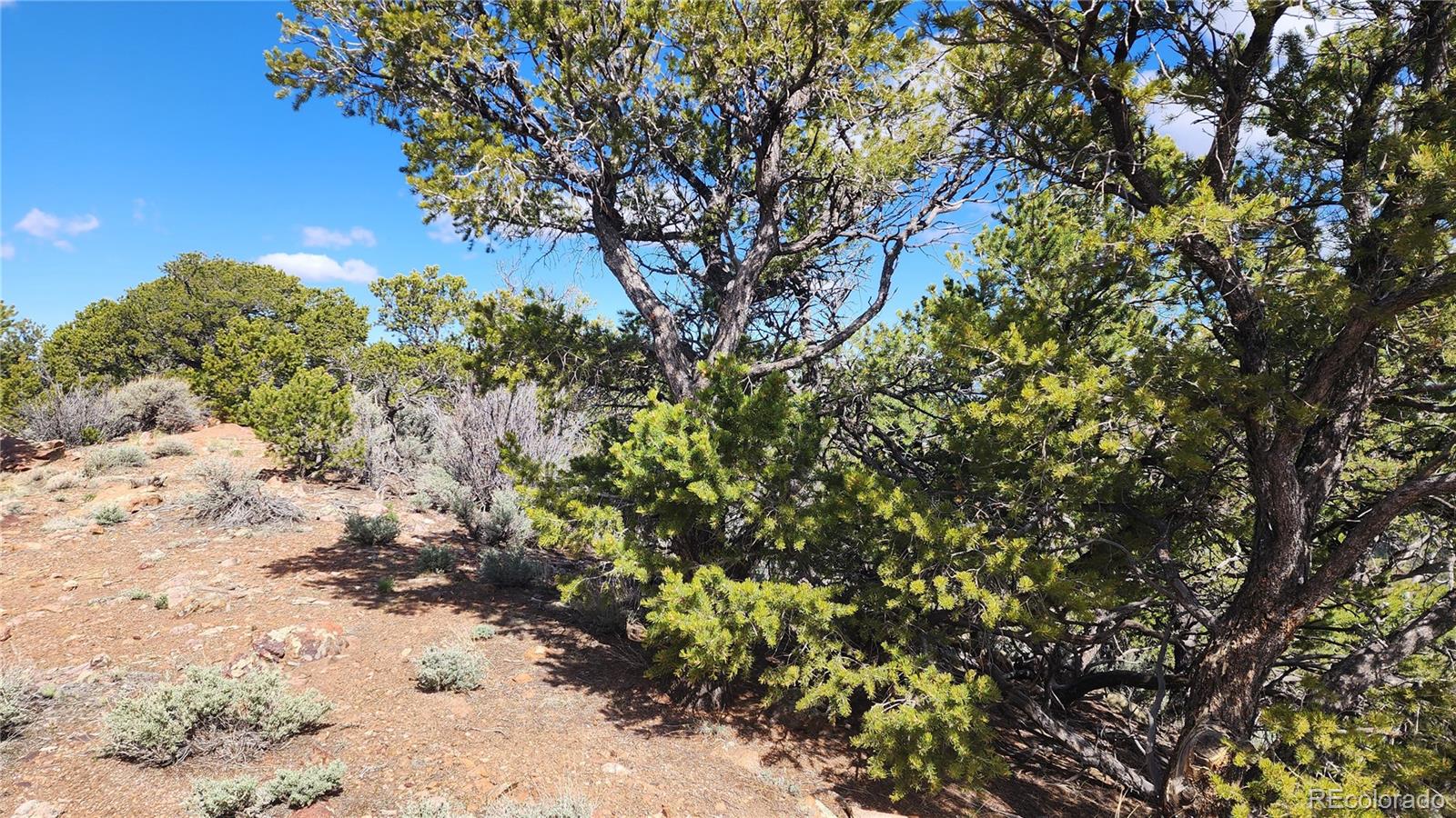 5040 & 5041 Mamouche Road