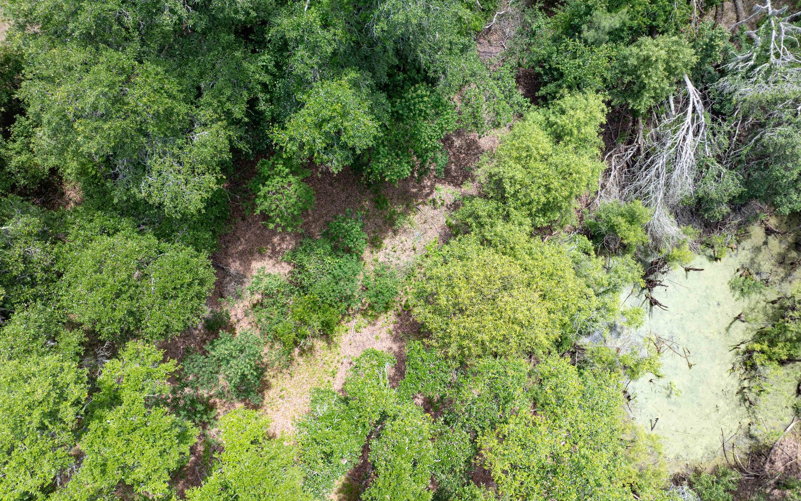 1285 SE Koon Lake Rd