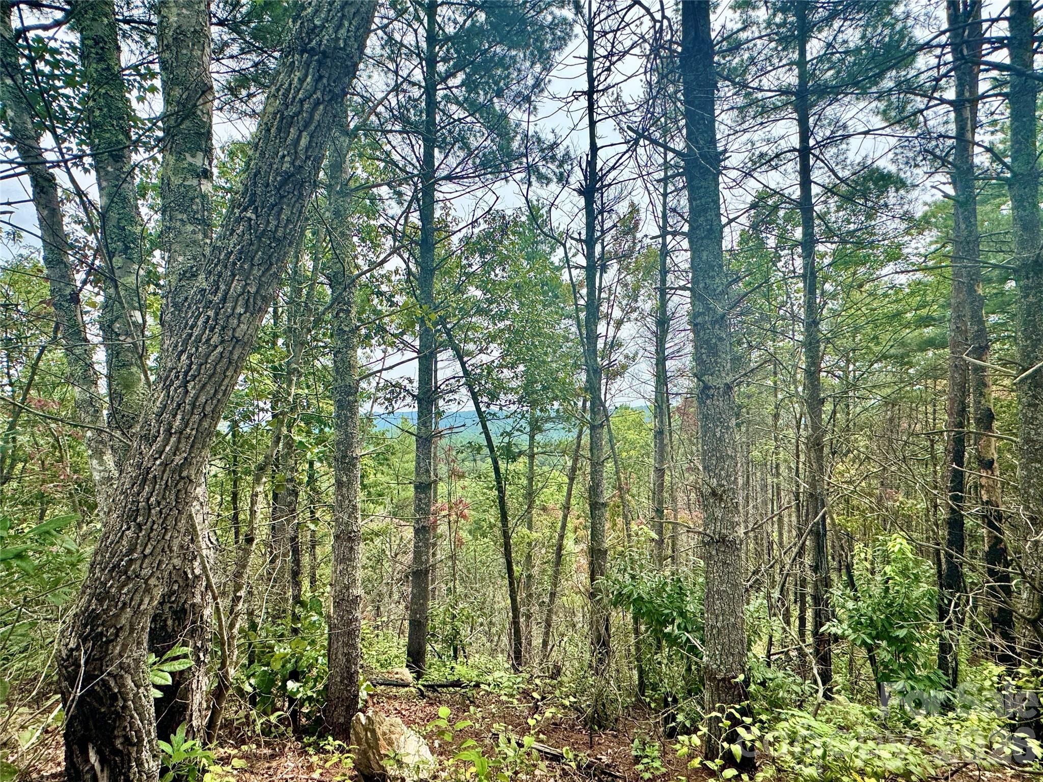 1.46 acres, Lot 48 Tomahawk Ridge Drive Lot 48
