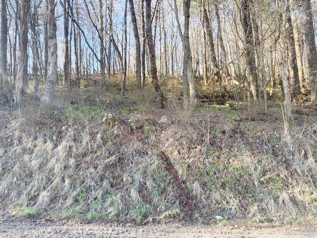 0.728 acre lot located in Rural Retreat. This is a wooded lot situated in a quiet country setting.