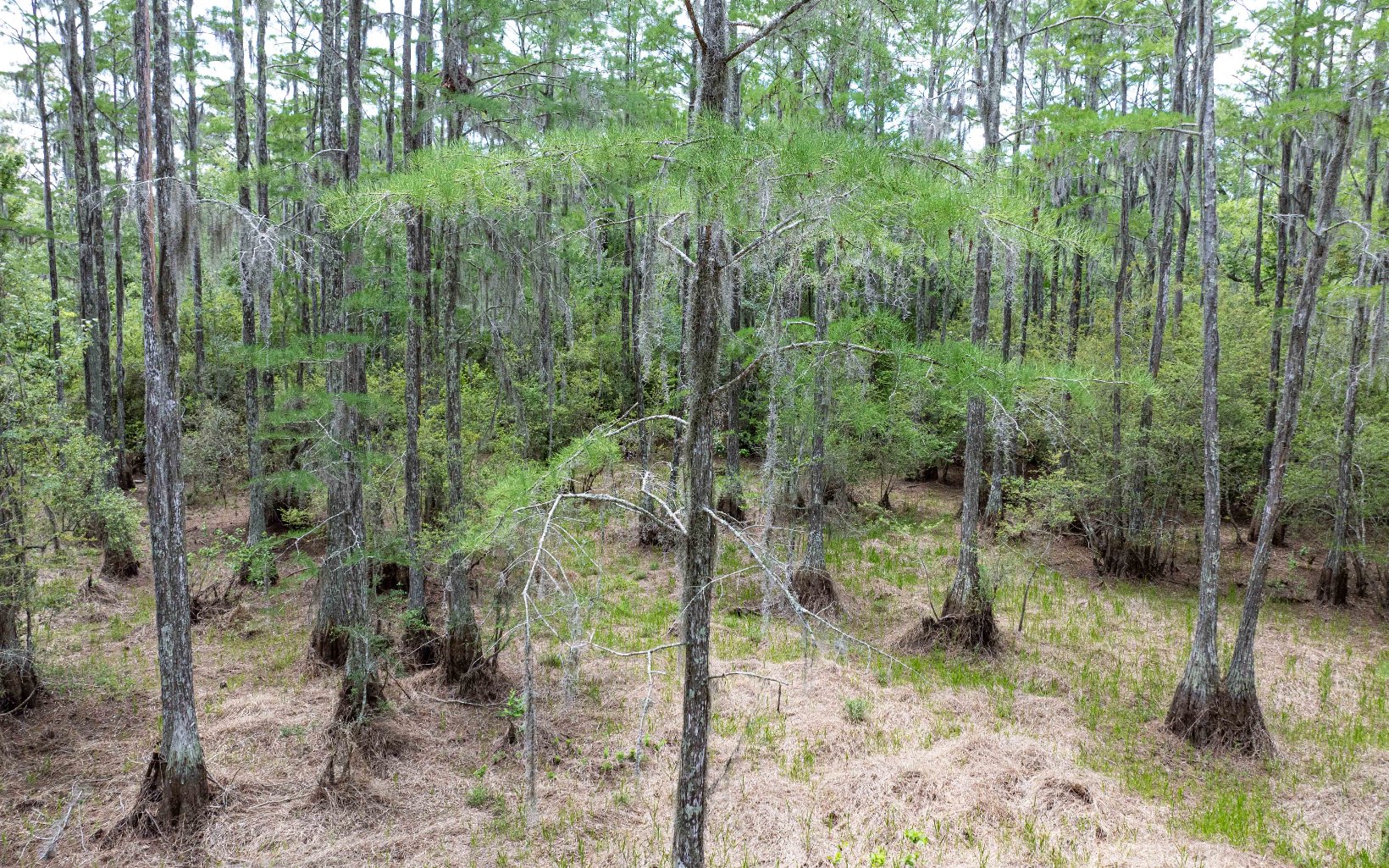 1285 SE Koon Lake Rd