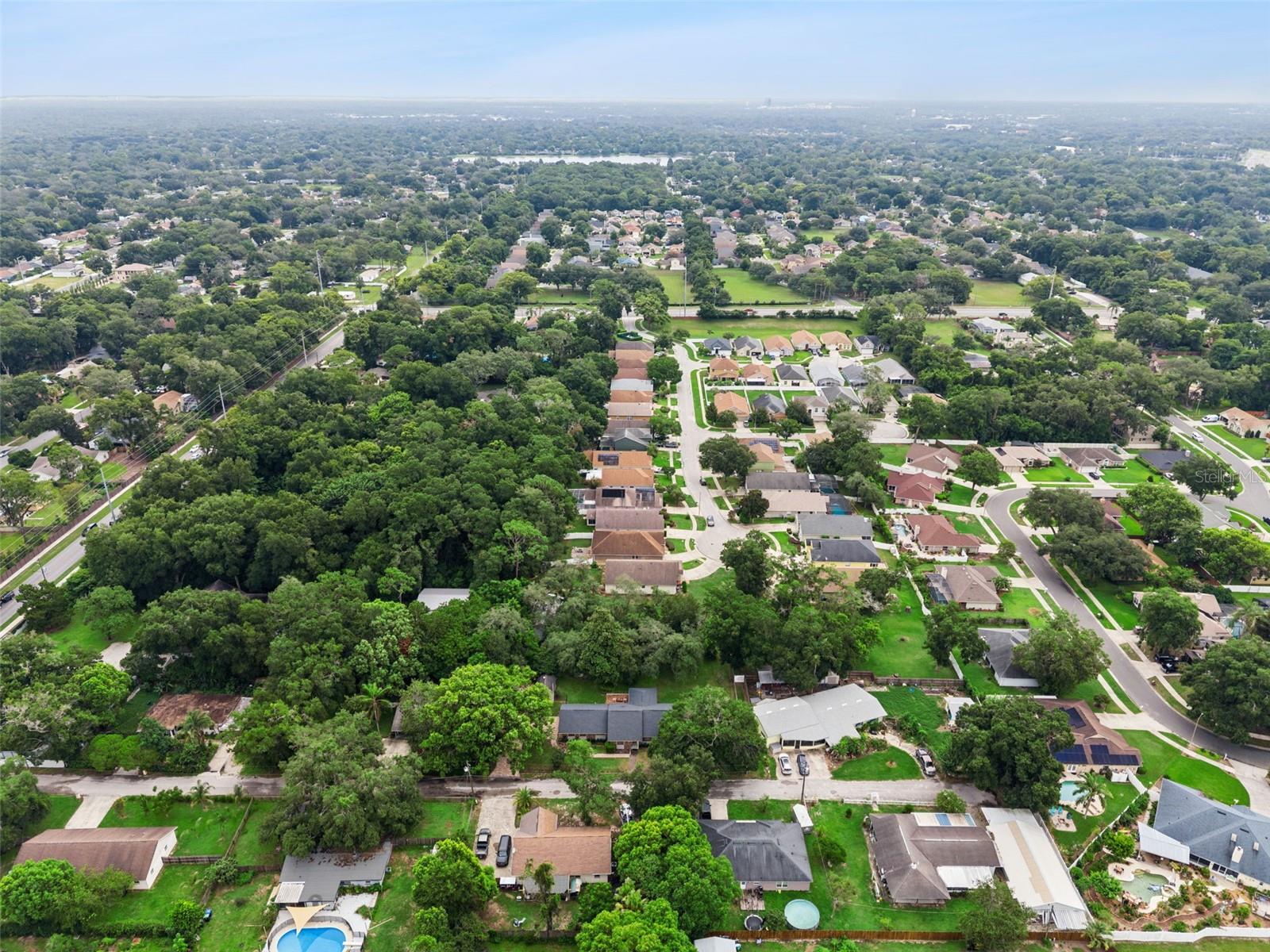 2019 Golden Ivy Way