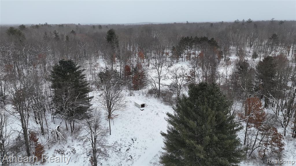 Hunters paradise on 42.59 acres of wooded land. Many lakes in the immediate area, trails for snowmobiling, 4-wheeling, hiking, and biking. Property features a 1,000' metal Quonset building, 2 electrical panels and 2 wells in different locations. Property also features a large garden area with mesh fencing, several different stands for hunting, and a small pond. Property was also select cut for poplar in 2024. Property behind has legal easement through the edge of the property. Horses do not belong to the current owner and do not stay with the property. Chicken coop does not stay with the property.A copy of the survey is provided.Perfect get-away for up-north enjoyment, hunting, fun in the sun or relaxation.