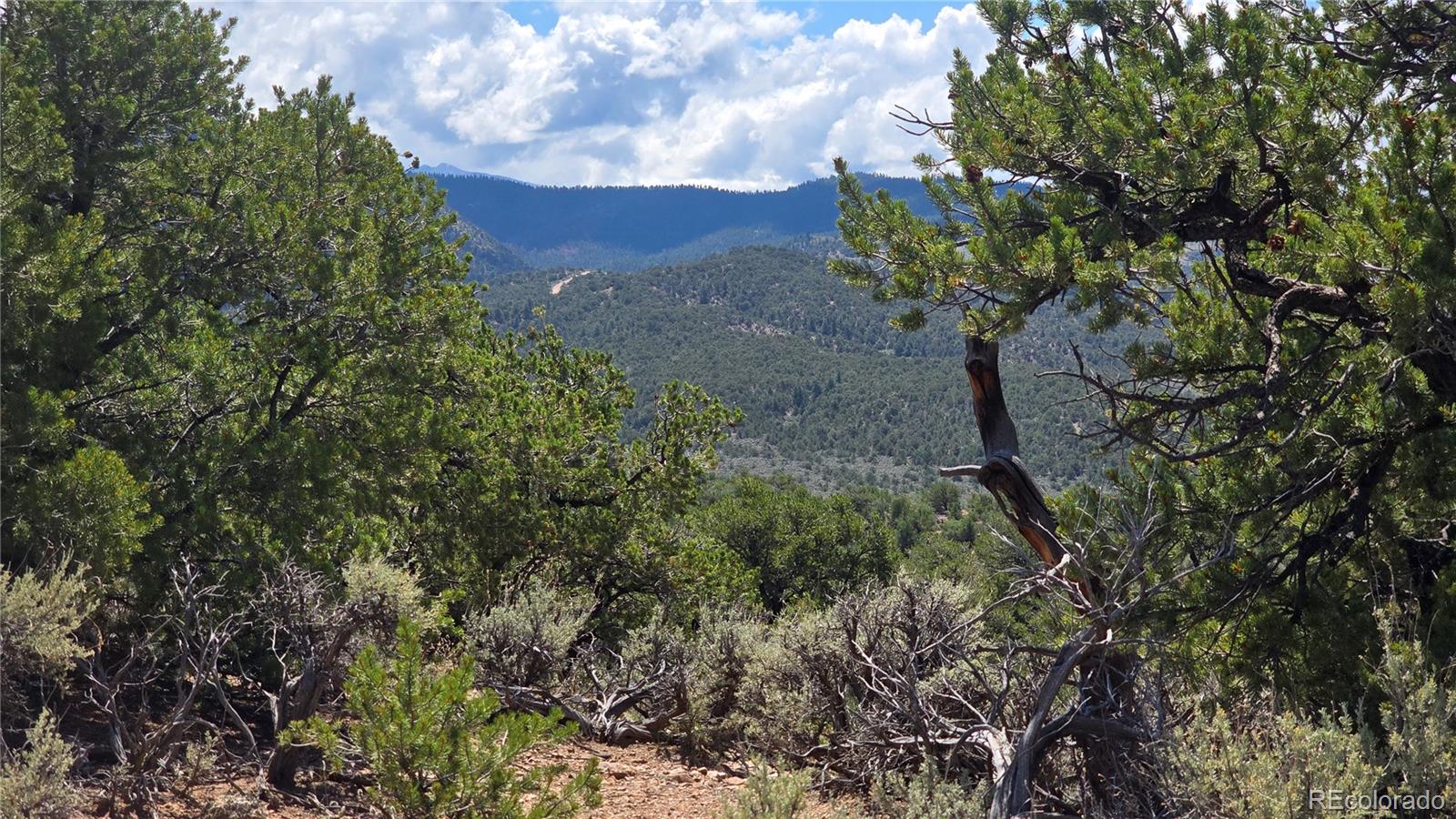Lot 1615 Dunn Road