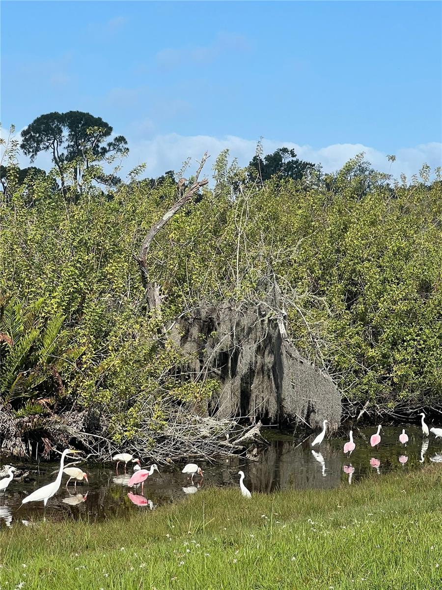 912 Piney Point Road