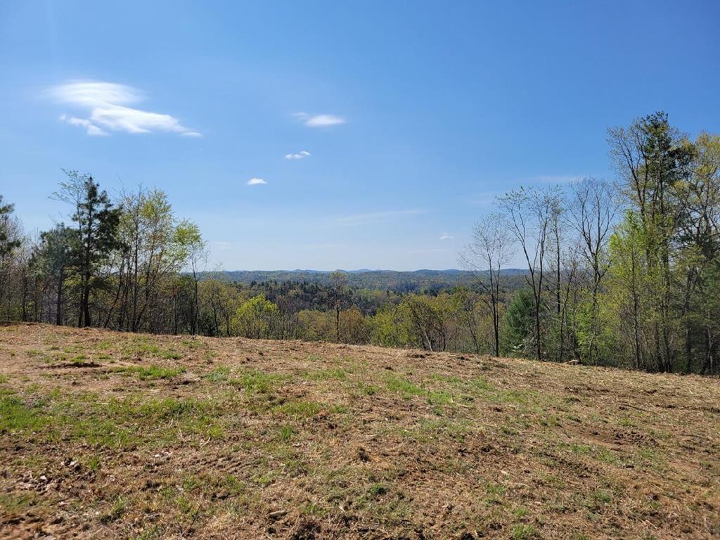 Land for sale in Ivanhoe, Virginia, 82442