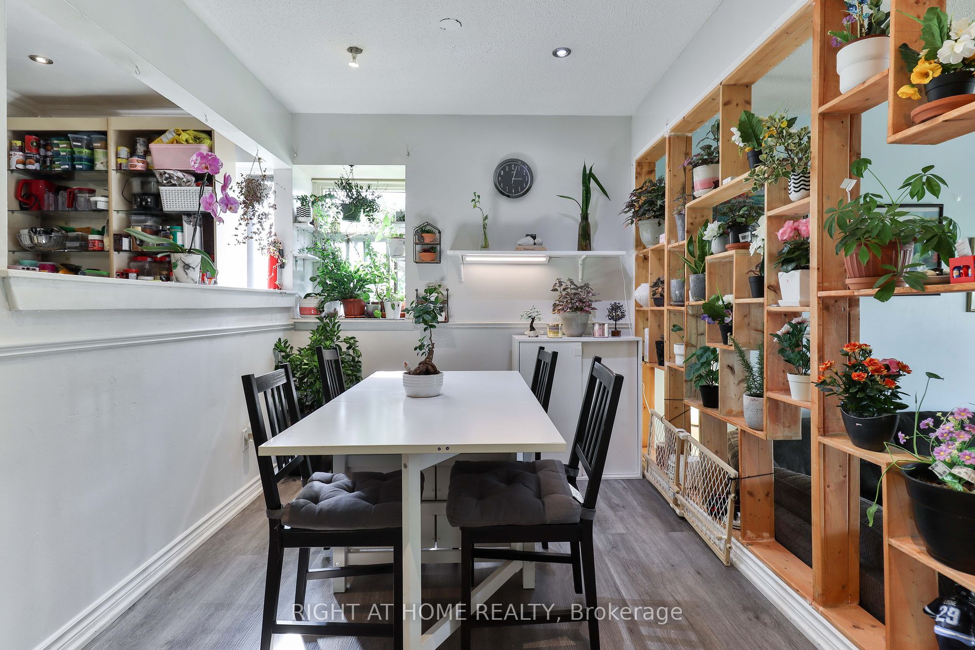 260 John Garland Blvd 244