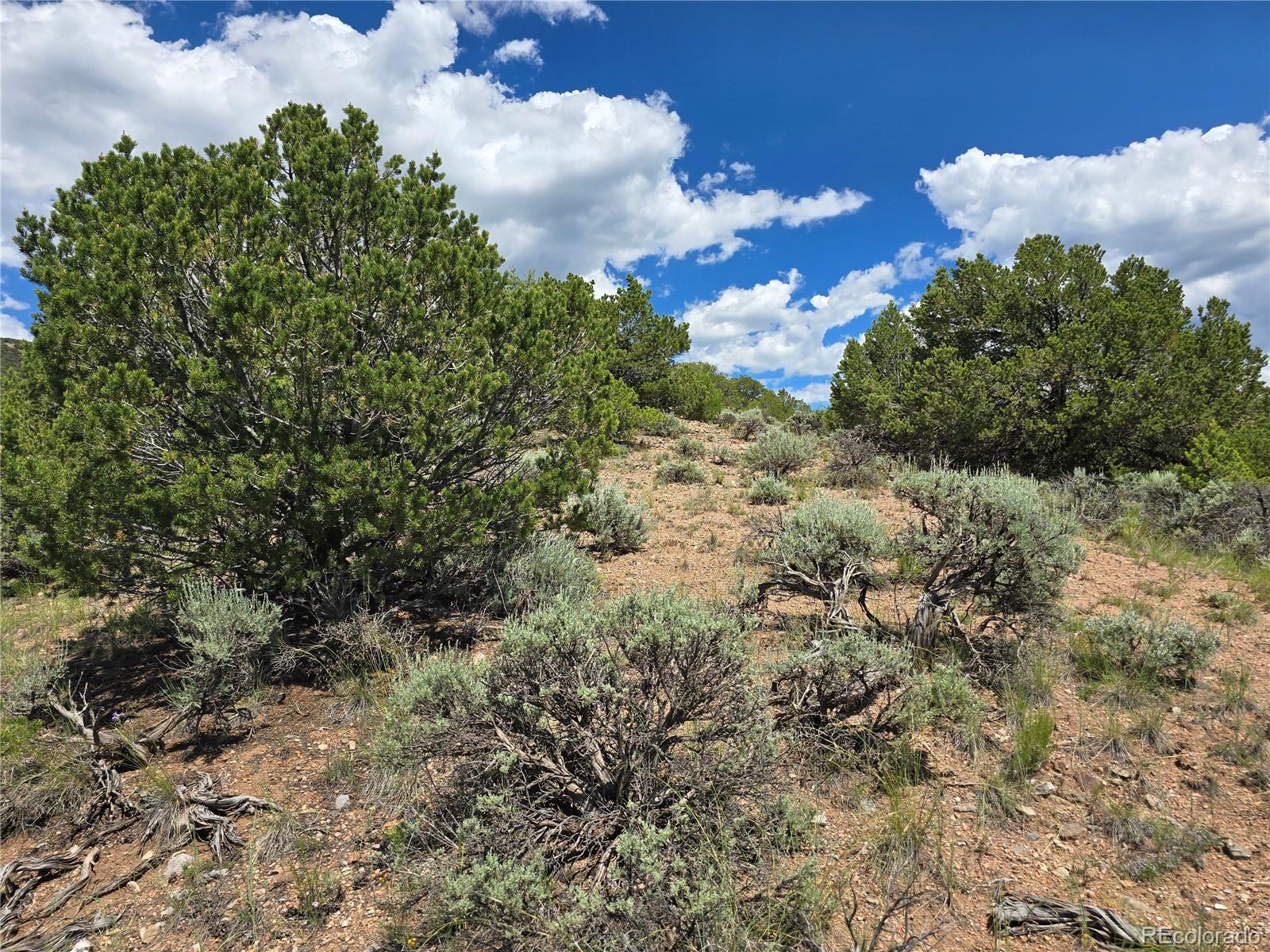 7572 Dashiell Road
