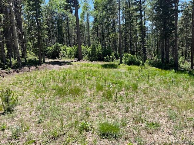 Lot 2449 Petito Drive
