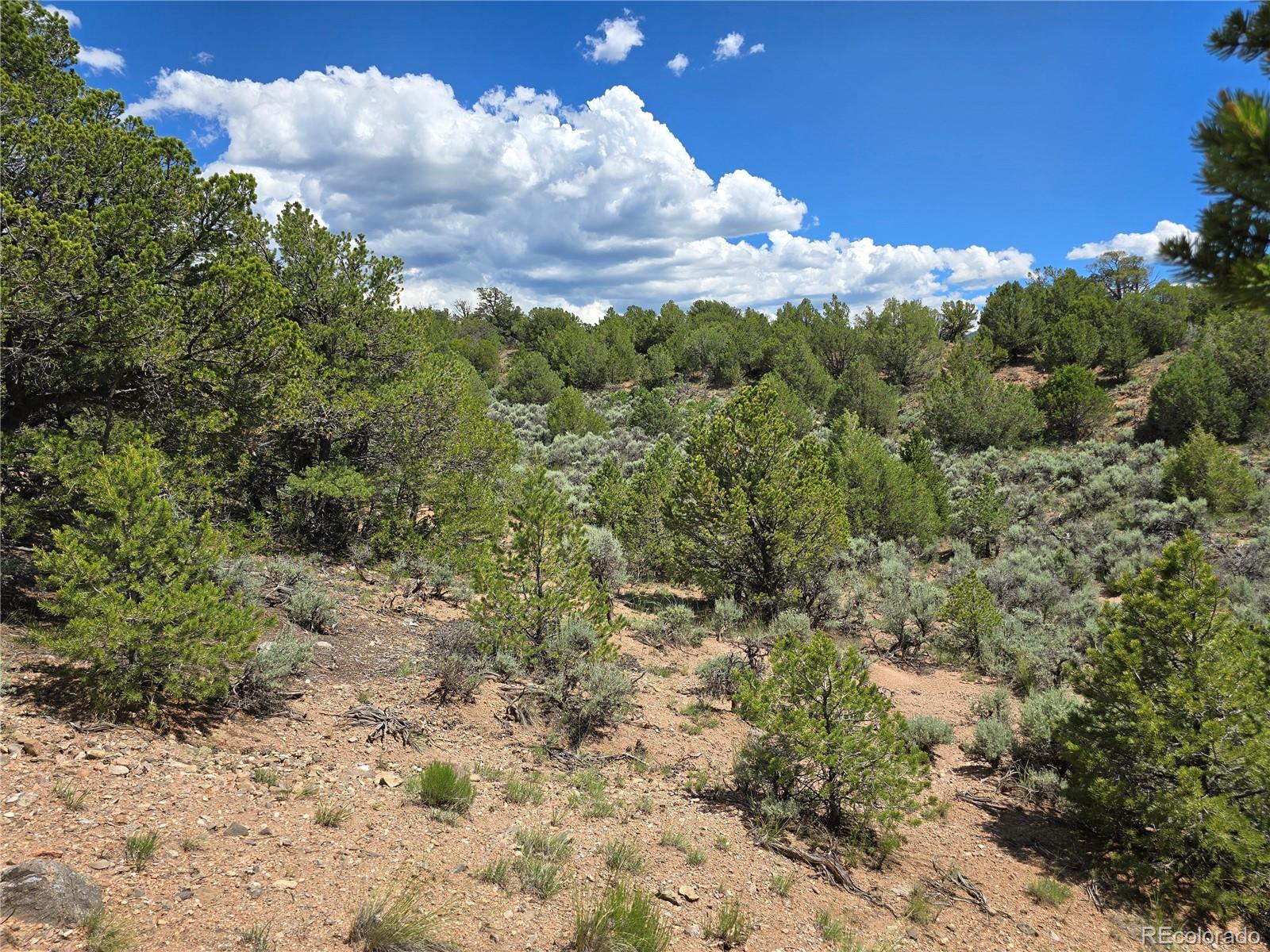 7572 Dashiell Road