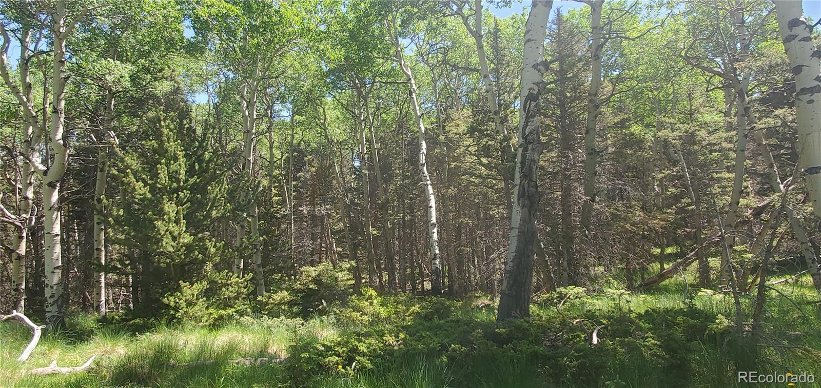 Lot 3085 Henderson Lane