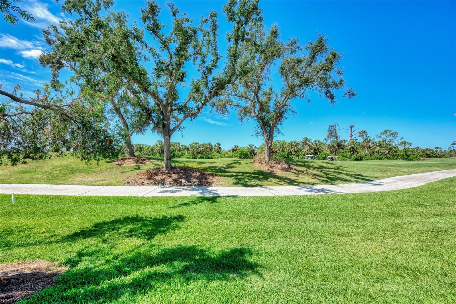 3359 Osprey Lane