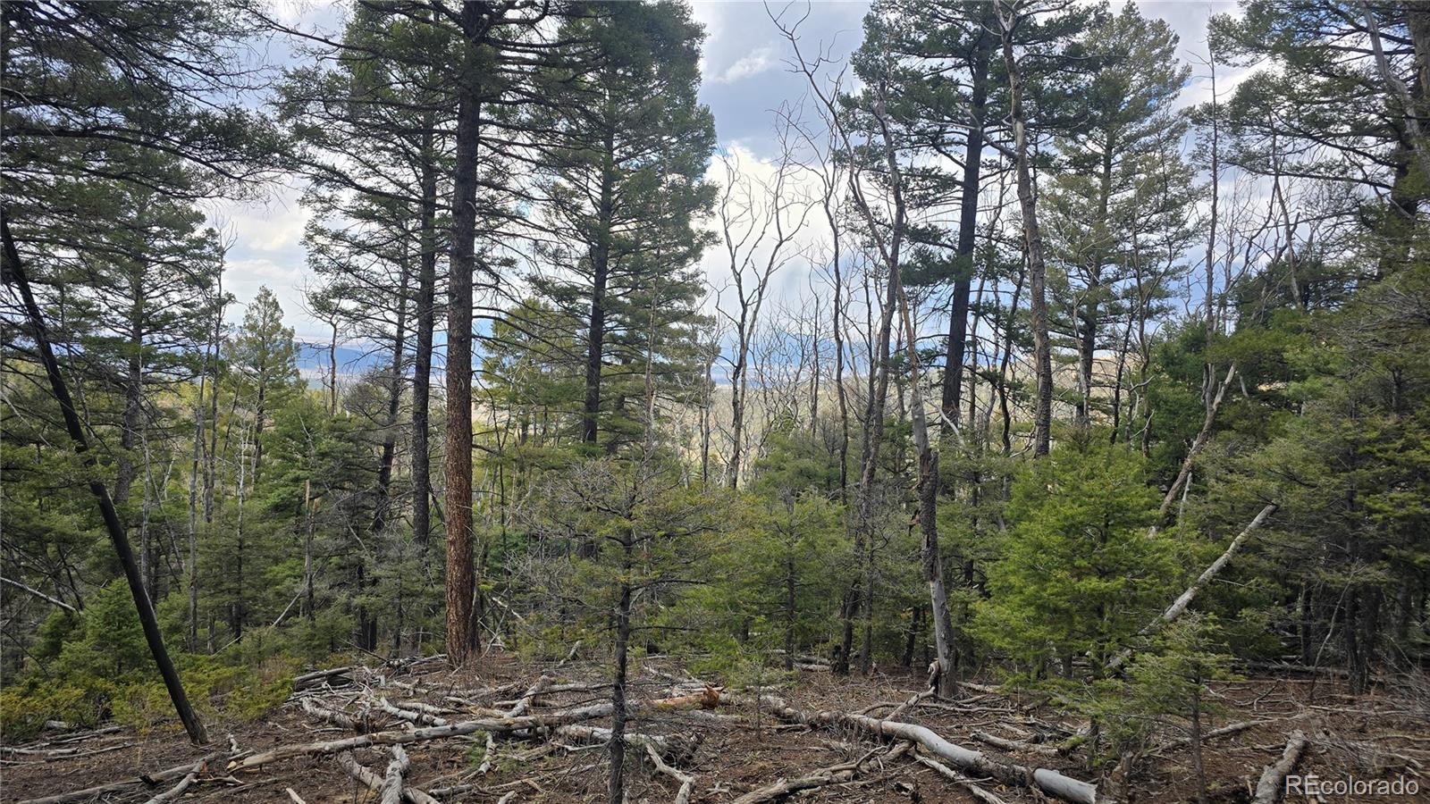 Lot 5261 Scott Road