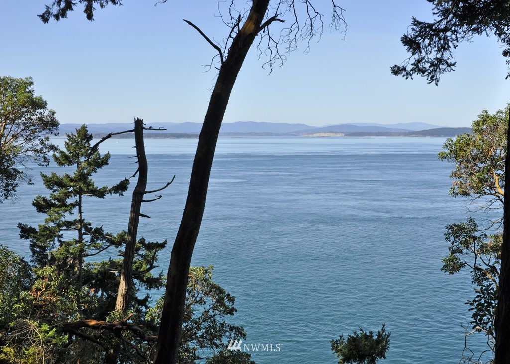 Real estate MLS search for the San Juan Islands; Sam Buck Real Estate