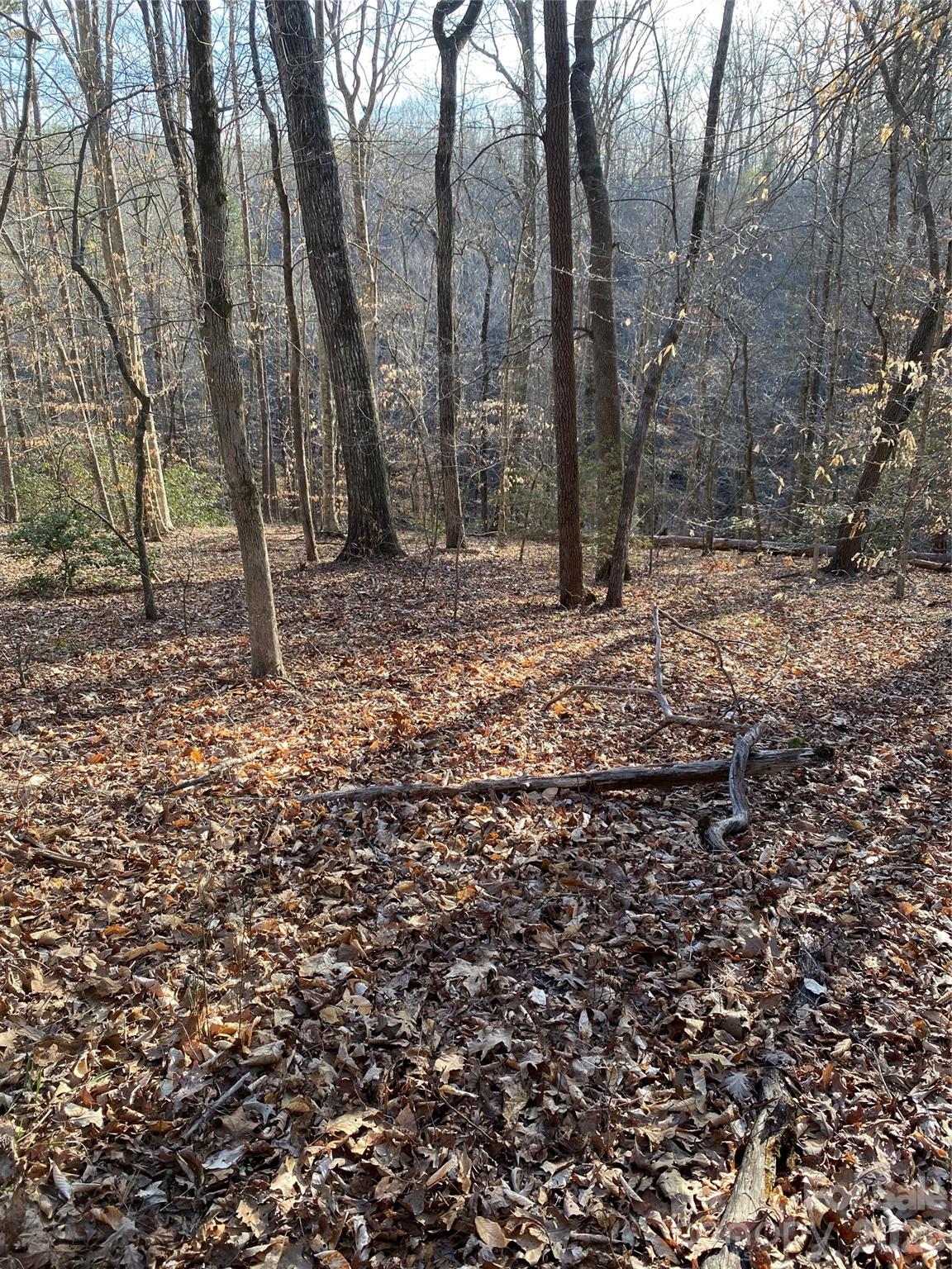**AGENT REMARKS**Rare opportunity to own approximately 25 acres in the highly desirable Tryon equestrian region of Western North Carolina. This beautiful tract offers an exceptional combination of acreage, privacy, natural beauty, and potential, creating an ideal setting for a private estate, equestrian property, recreational retreat, or long-term land investment.A **beautiful natural stream meanders through the property**, adding character, tranquility, and scenic appeal to an already remarkable tract. The combination of rolling terrain, natural surroundings, open space, and flowing water creates an idyllic setting rarely found in such a sought-after equestrian area.Ideally situated near the area’s renowned equestrian facilities, riding venues, trails, dining, and amenities, this property offers the opportunity to enjoy the distinctive lifestyle and natural beauty that have made Tryon a destination for equestrian enthusiasts and those seeking a peaceful country setting.**IMPORTANT ACCESS DISCLOSURE:** Property access is currently understood to be provided through a **verbal easement arrangement with an adjoining property owner**. No recorded written easement has been verified by the seller. Buyers are strongly encouraged to independently investigate and verify legal and physical access, easement rights, boundaries, zoning, restrictions, utilities, septic suitability, stream and water-related considerations, and all other matters important to the buyer during the due diligence period.A truly special opportunity to acquire substantial acreage in one of North Carolina’s premier equestrian regions—where **space, privacy, natural beauty, and a picturesque flowing stream** come together to create an extraordinary canvas for the next owner.
