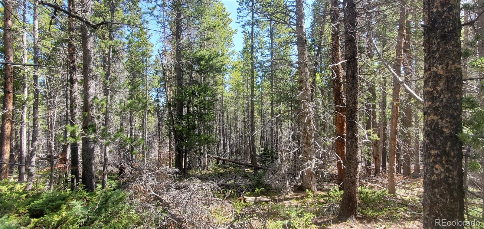Lot 3031 Bolwell Lane