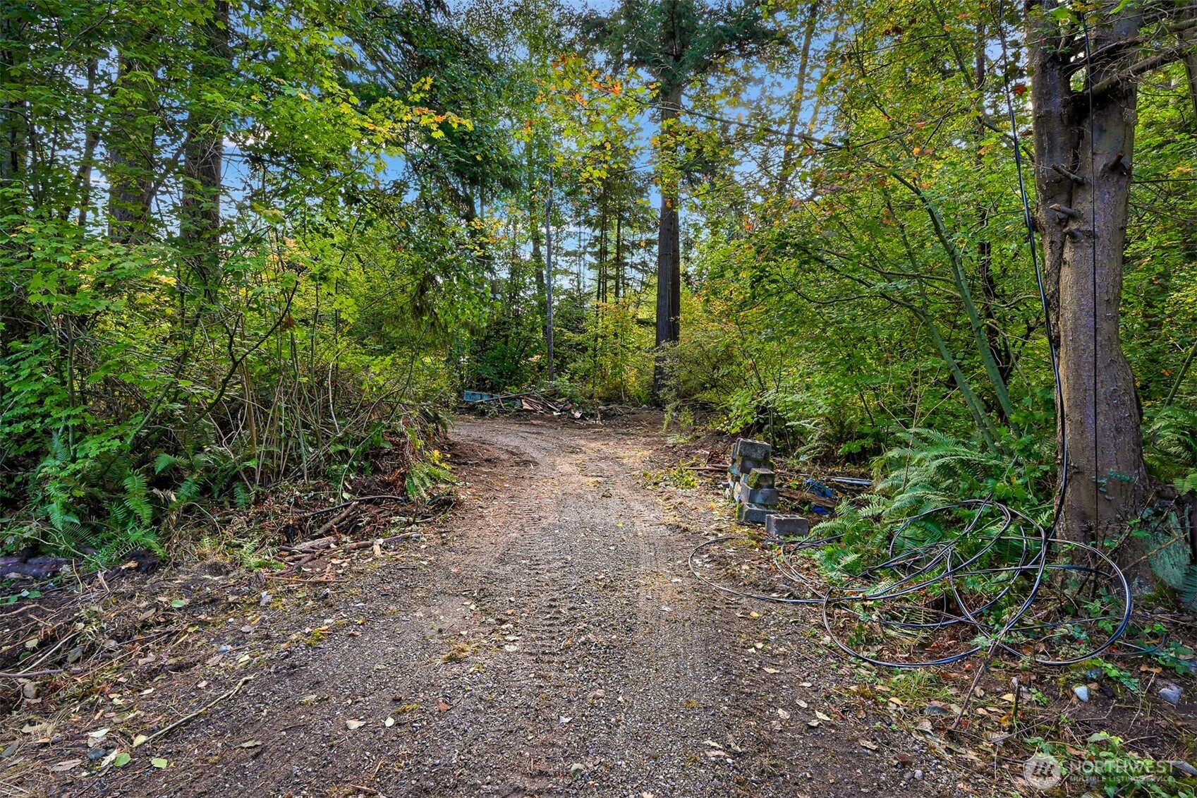 4257 Cody Road