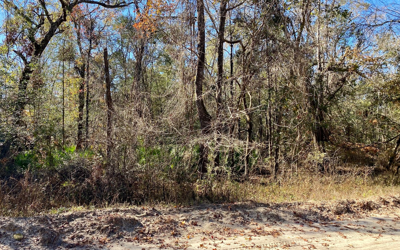 Withlacoochee River Property For Sale