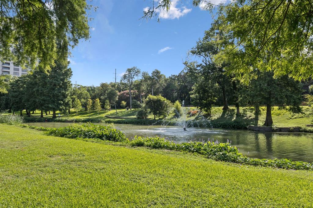 3225 Turtle Creek Boulevard 142