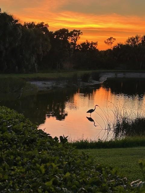 13376 Creekside Lane