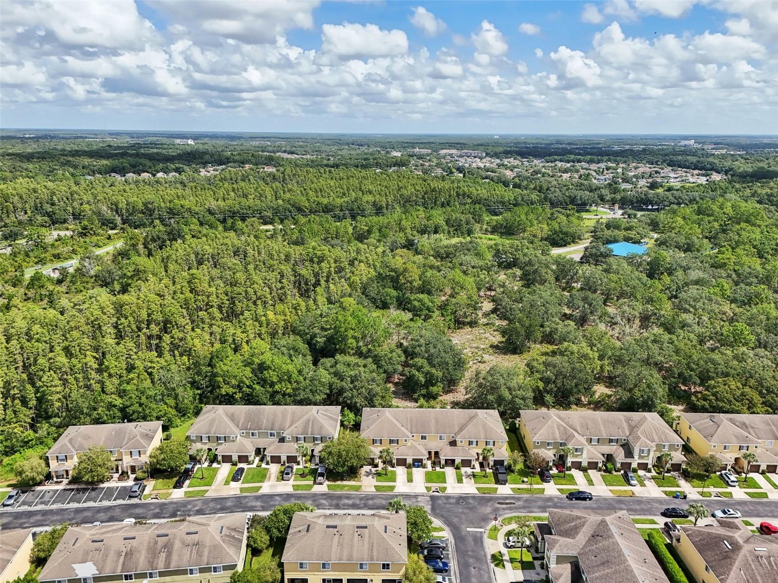 8554 Trail Wind Drive