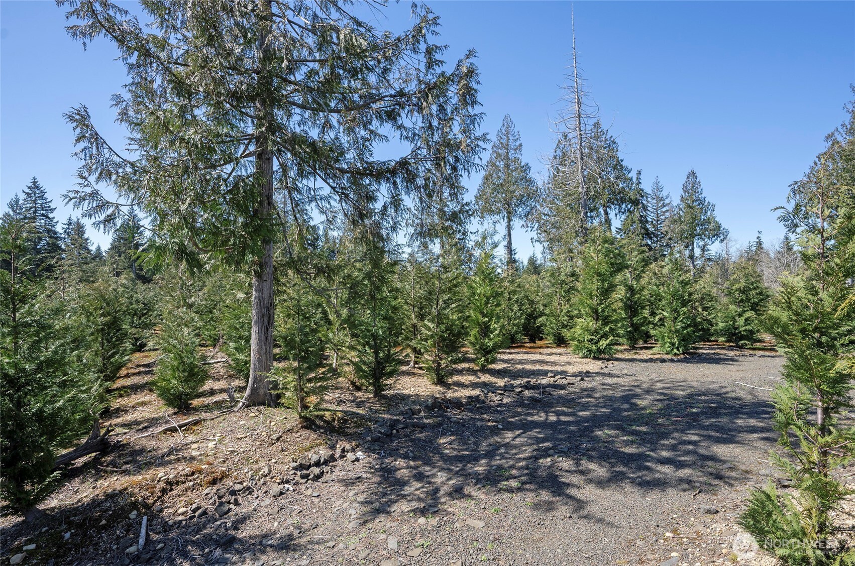 1800 E Harstine Island Road N