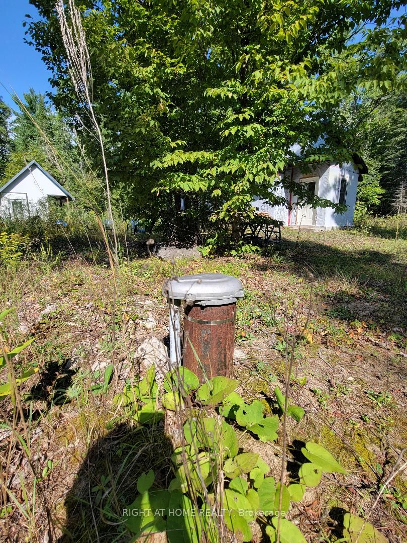 40 Pineview Crt