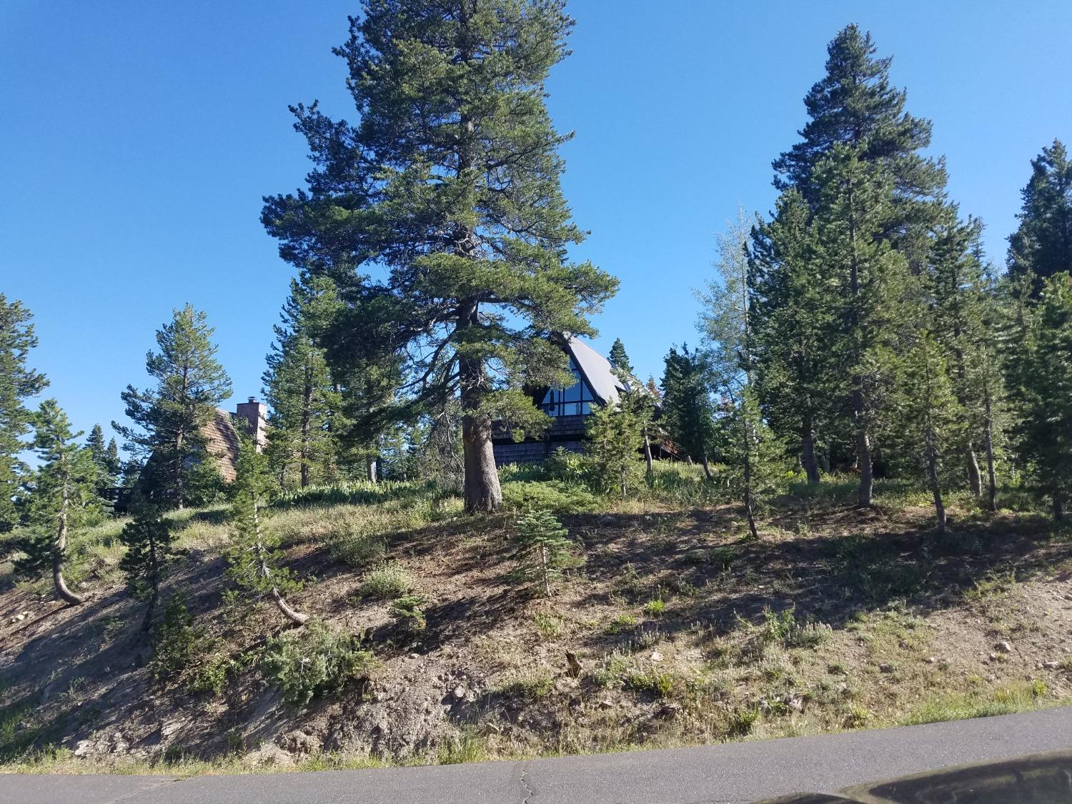 735 Bloods Ridge Road